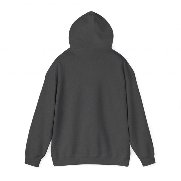 A Future and Hope by Subtle--Unisex Dark Colored Hoodie, Cozy Sweatshirt, Faith-Based Inspirational Apparel, Jeremiah 23:11 - Image 27